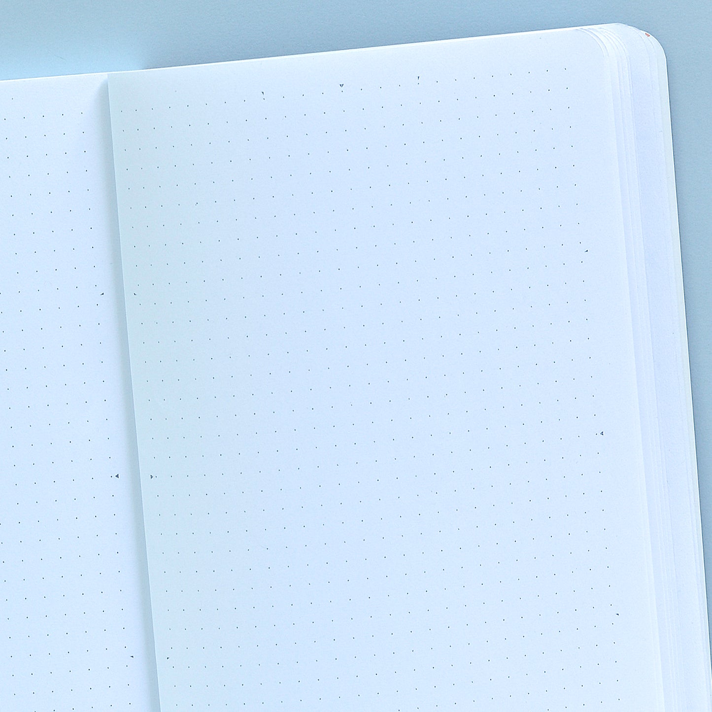 Interior Puntos y marcas divisorias cuaderno Bullet Journal A5