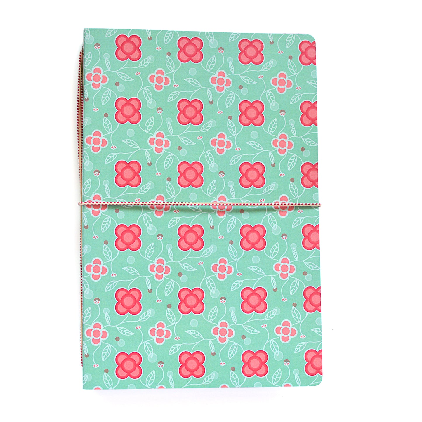 Carpeta Panots Acqua