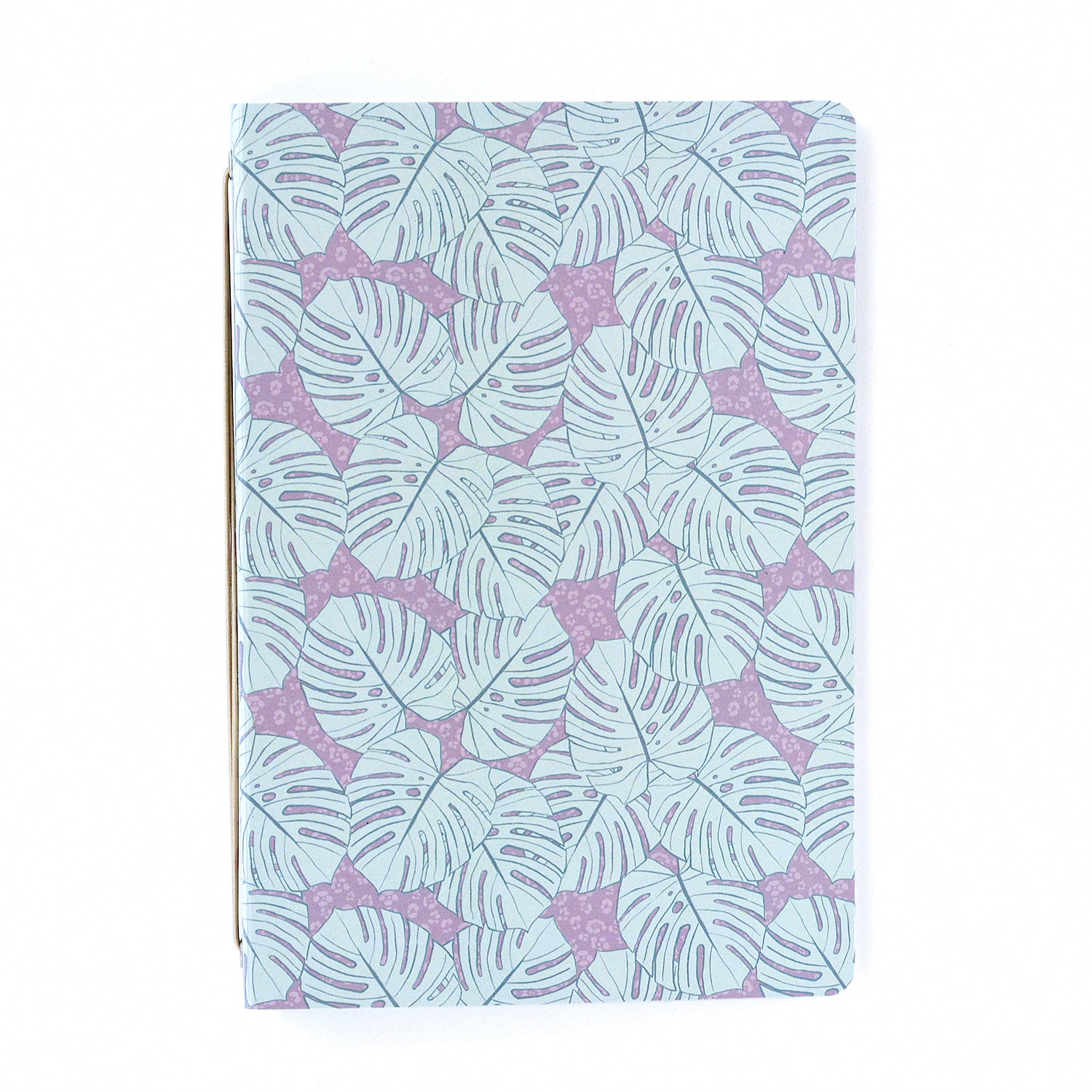 Carpeta Monsteras Azul