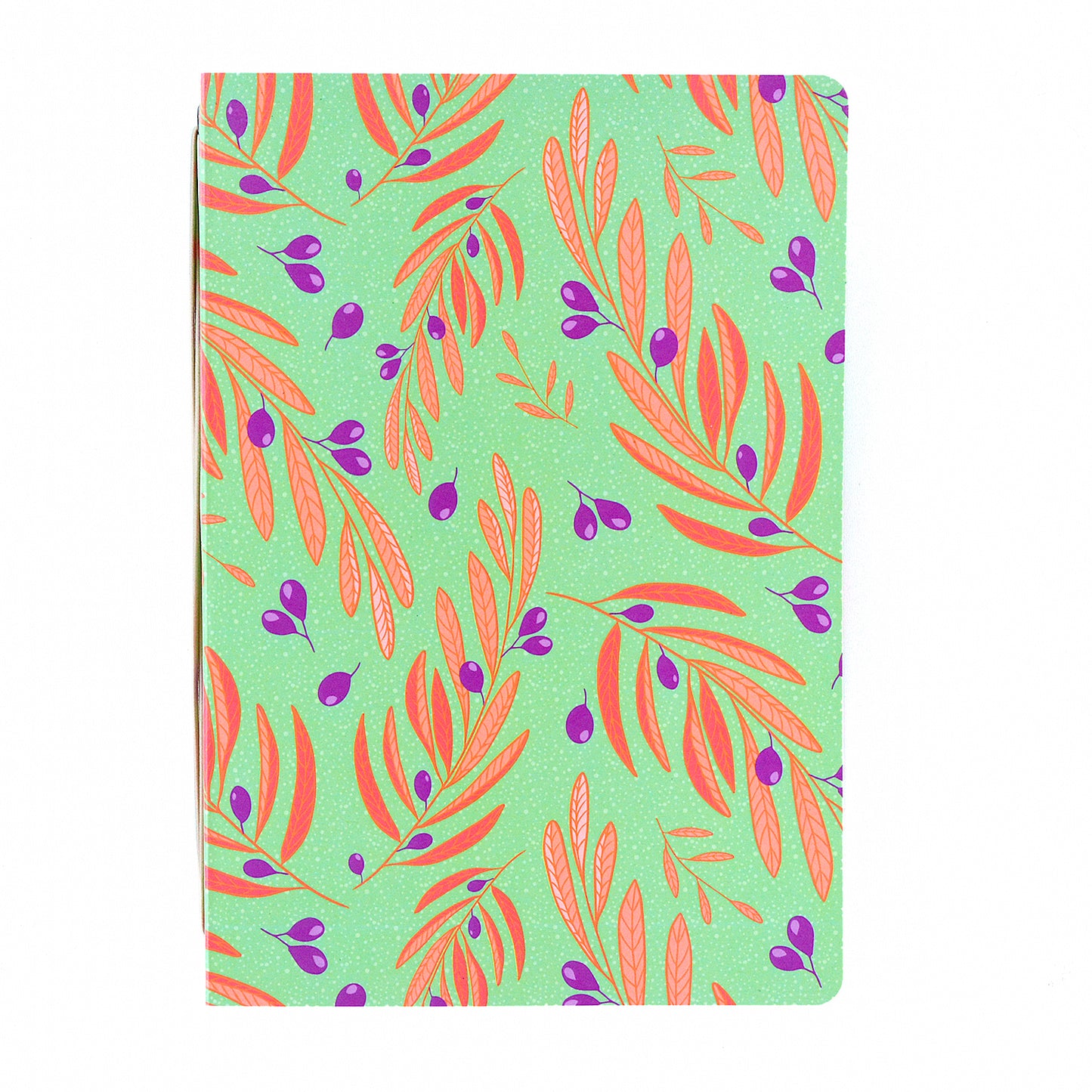 Carpeta Olivos
