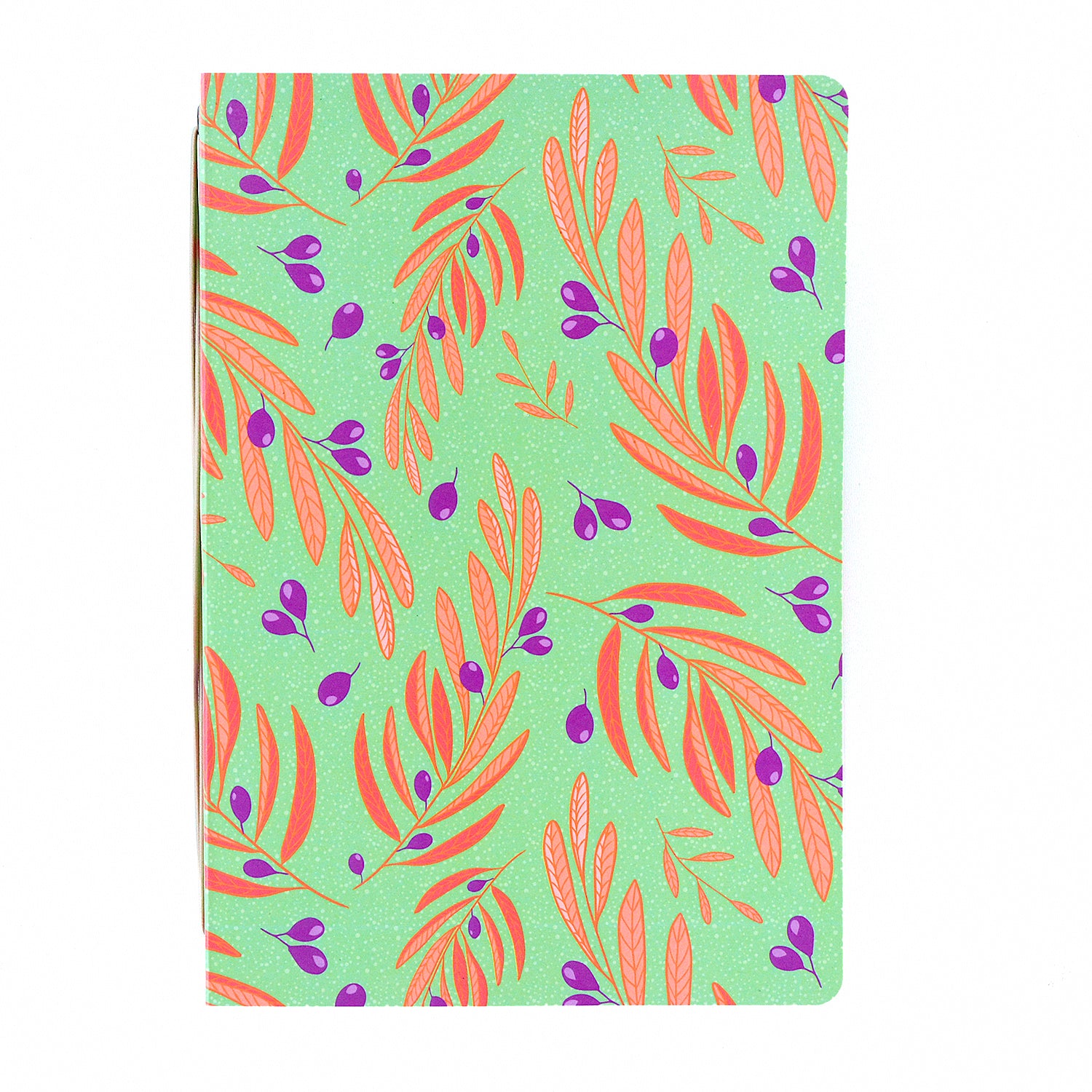 Carpeta Olivos