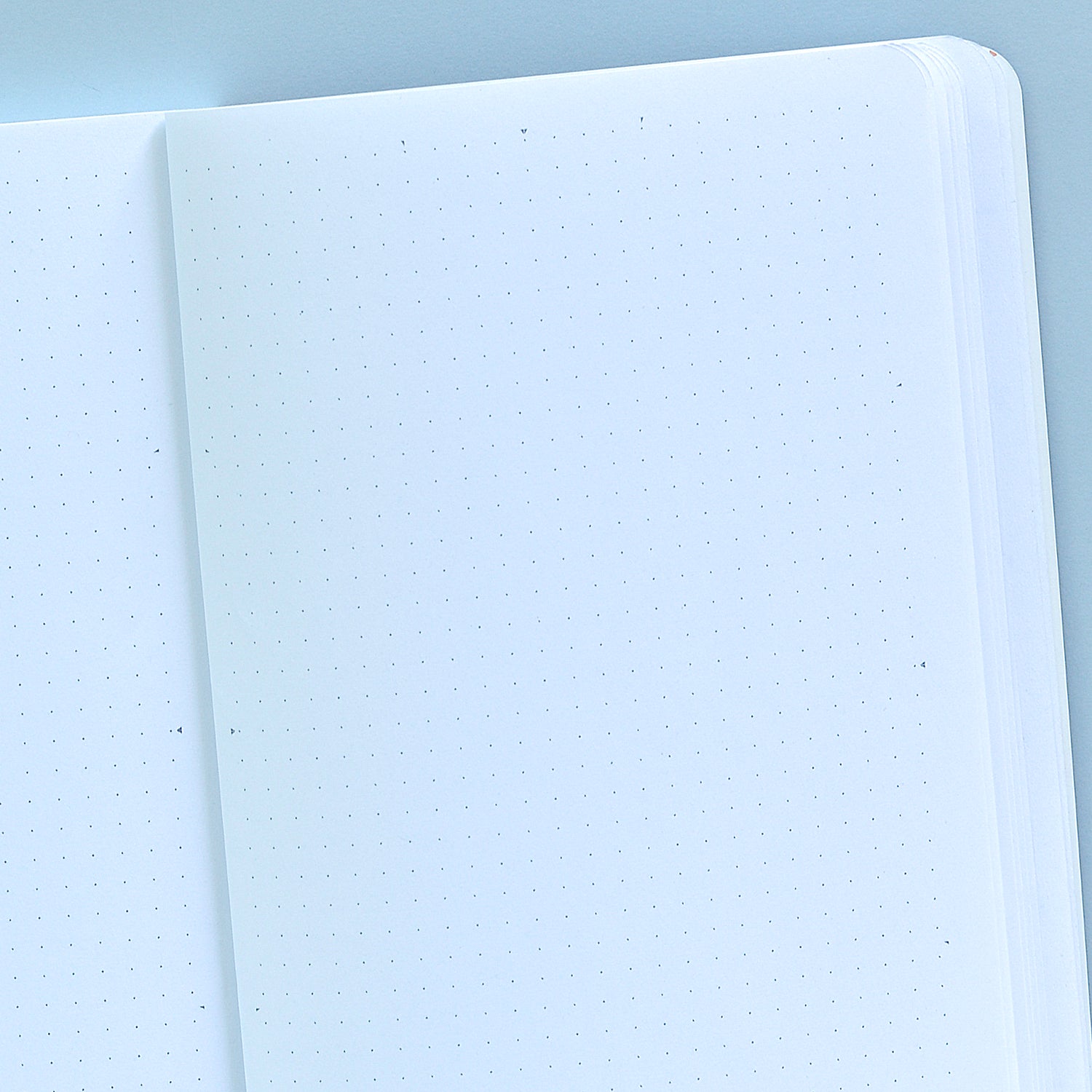 Interior Puntos y marcas divisorias cuaderno Bullet Journal A5