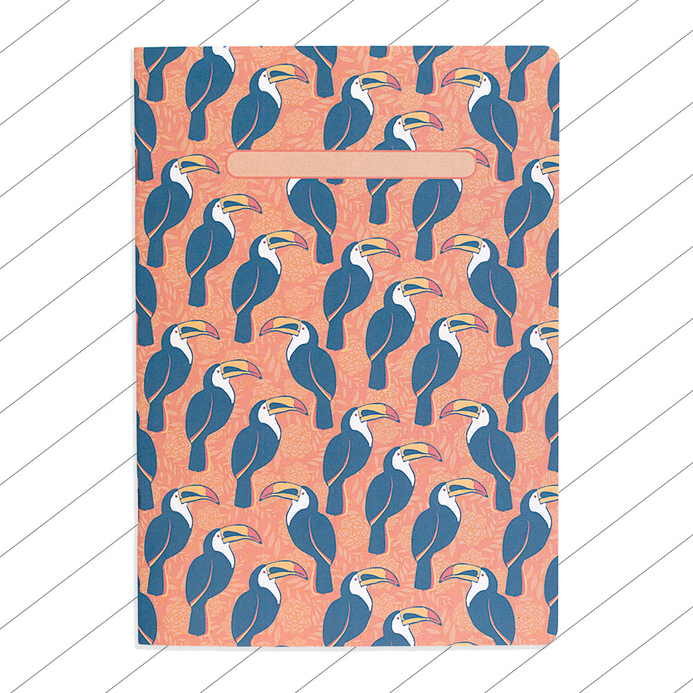 Libreta cuaderno pautado líneas Tucanes