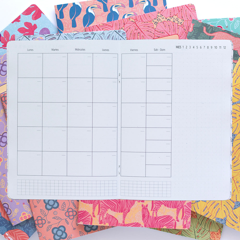 planner mensual sin fechas