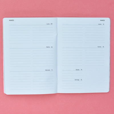 Planner semana vista 2026 - Primer Trimestre